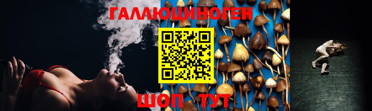 Галлюциногенные грибы мухоморы Кыштым